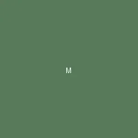 墨夜 (Midnight Ink) - 免费看涩涩漫画app 创作者头像